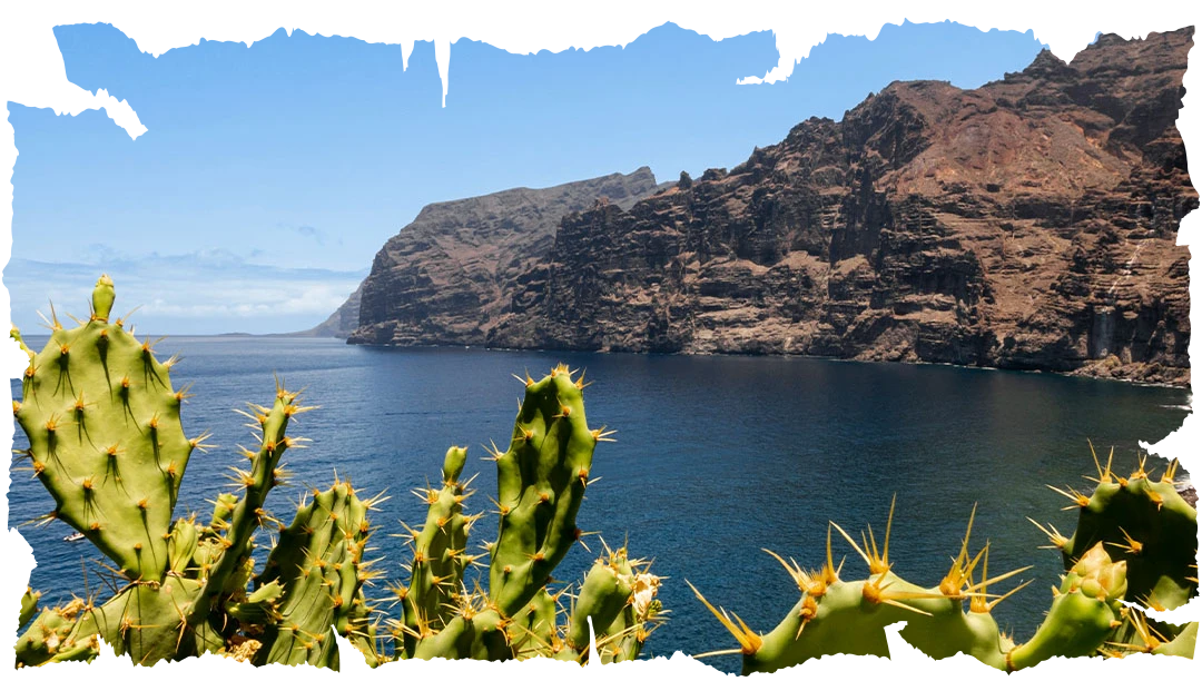 Acantilado de los Gigantes con Flora autoctona Tenerife
