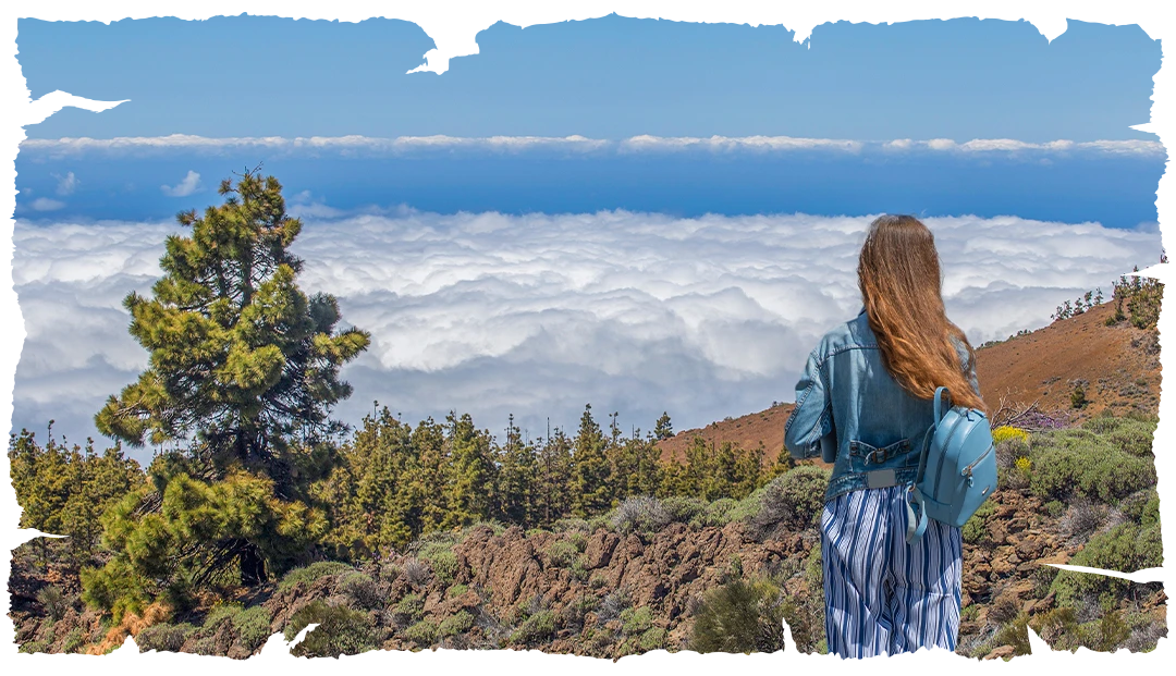 Teide Tenerife Paisaje